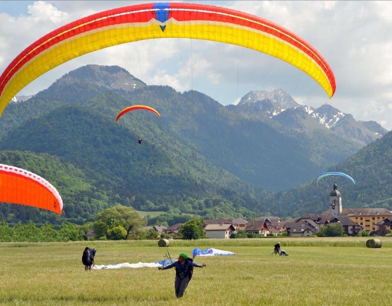 Apartment D'annecy T2 Grand Jardin Doussard