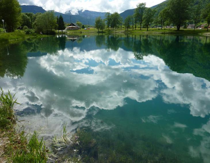 D'annecy T2 Grand Jardin Apartment *